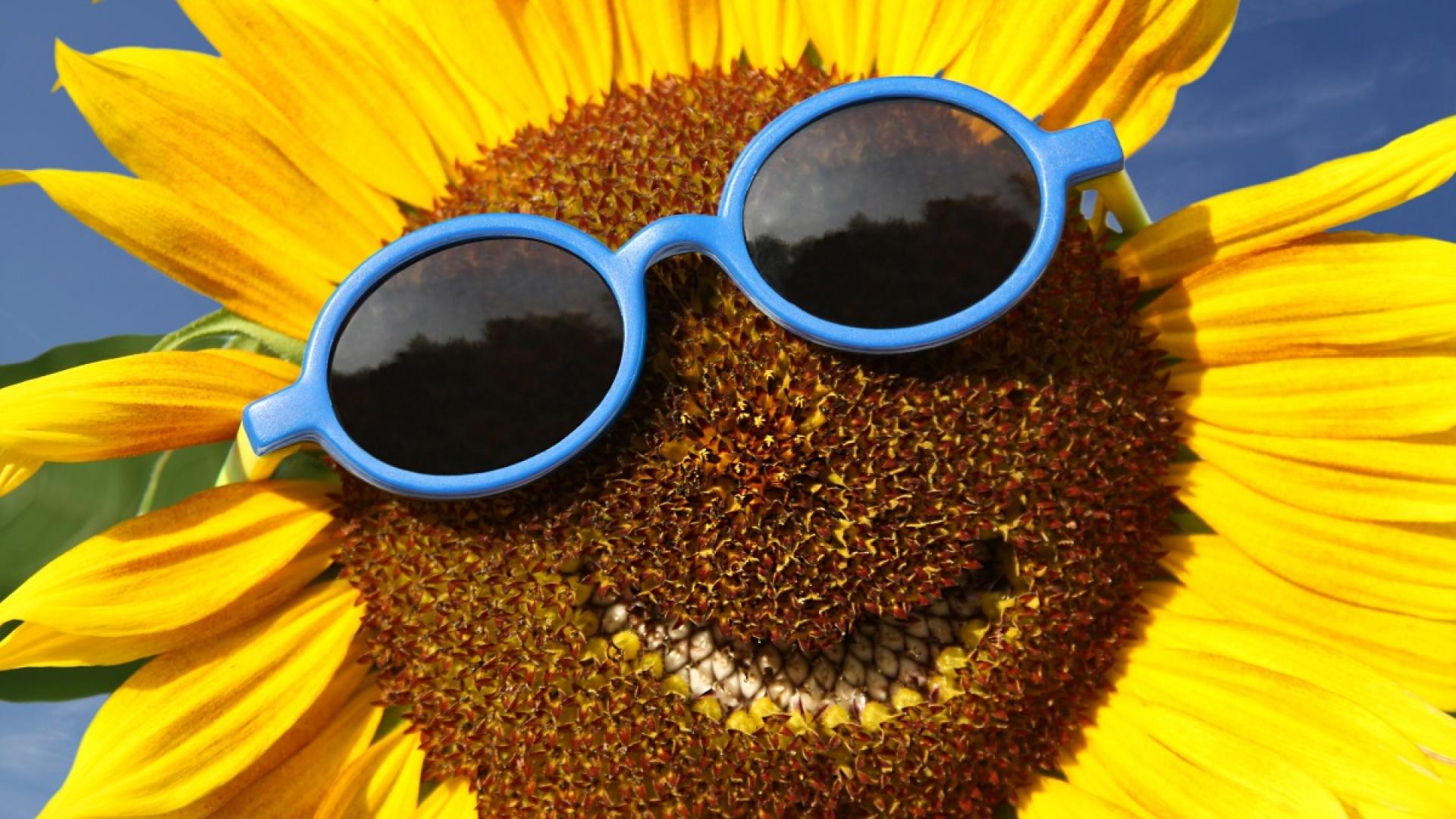 През нощта ще бъде ясно и почти тихо Във вторник ☀️☀️☀️ще бъде