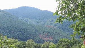 Сапарева баня