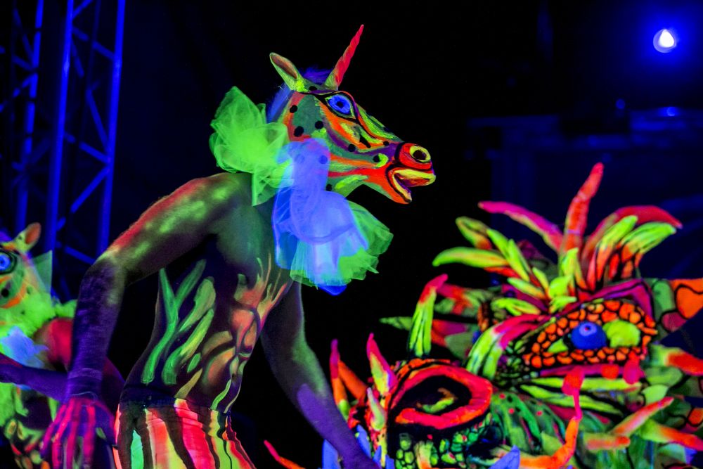 Модели се превърнаха в живи платна на Световния фестивал по бодипейнтинг в австрийския град Клагенфурт.<br />
<br />
По време на проявата участниците са декорирани не само с бои, но и със сложен макияж от латекс, който често им придава вид на извънземни.<br />
 <br />
Тридневният фестивал, който отбелязва 19-ото си издание, събра 60 художници от над 50 страни.<br />
 