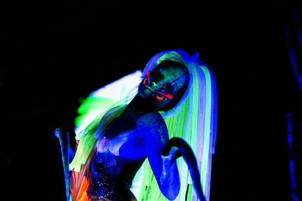 Модели се превърнаха в живи платна на Световния фестивал по бодипейнтинг в австрийския град Клагенфурт.<br />
<br />
По време на проявата участниците са декорирани не само с бои, но и със сложен макияж от латекс, който често им придава вид на извънземни.<br />
 <br />
Тридневният фестивал, който отбелязва 19-ото си издание, събра 60 художници от над 50 страни.<br />
 