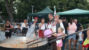 фестивал Дунавски вълни