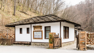 Център Българка