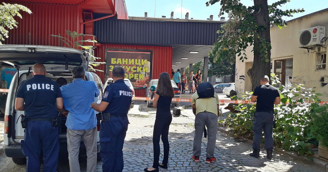 Паднало дърво рани млада жена в София Дърво падна и