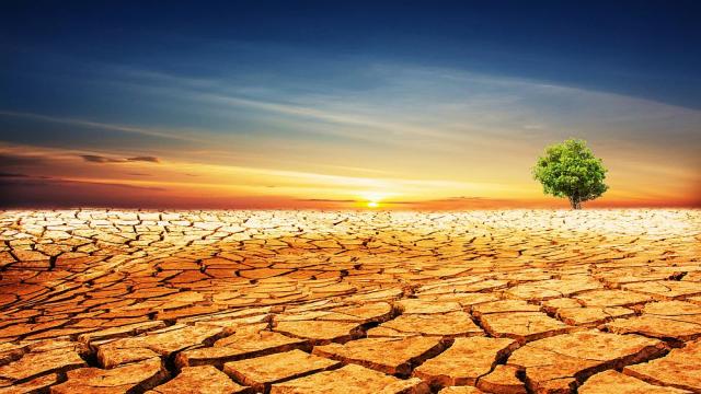 Откакто се води статистика: Миналата година е била шестата най-топла