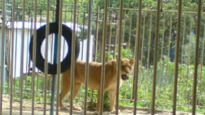 zoo