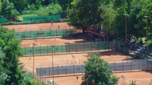 tenis