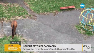 кон детска площадка