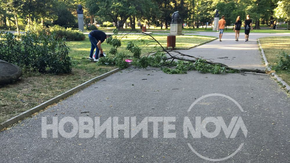 Жена пострада след като клон падна върху нея в Борисовата градина