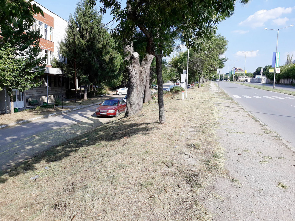 Окосиха тревата край  РПУ-то