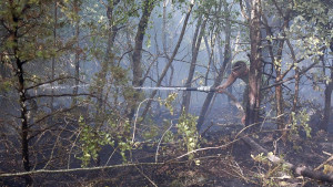 пожари Македония