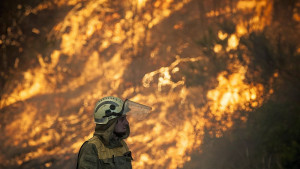 Големият пожар на гръцкия остров Тасос който избухна в сряда