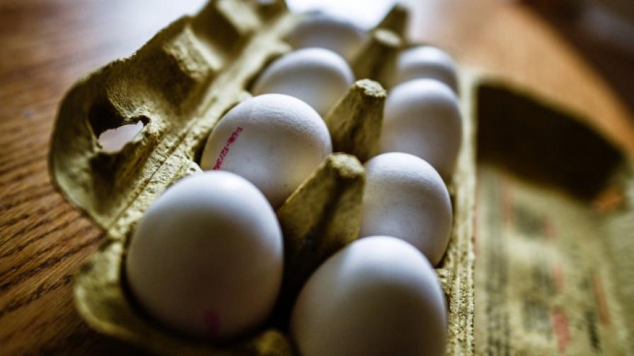 Скандал със заразени яйца в Европа
