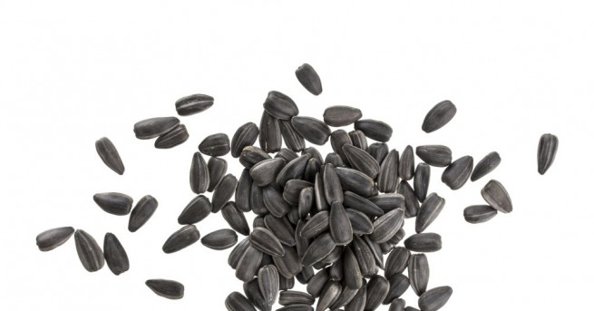 Кметът на пловдивския район Тракия Костадин Димитров обяви война на