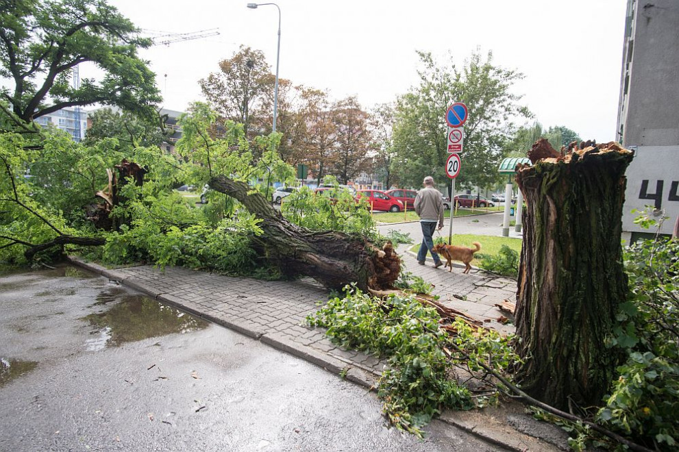  полша стихия 