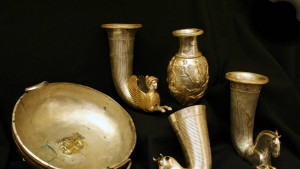  Русе Боровско богатство 