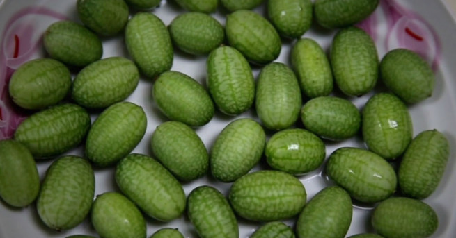 Във ферма в Чонгчинг отглеждат най малките дини в света