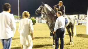 Антон Дацински