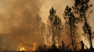 Пожари в Португалия