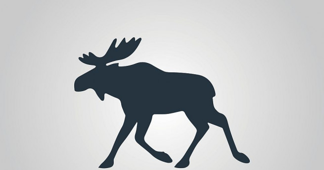 Клип на уникален бял лос в Западна Швеция привлече вниманието