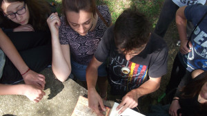 Шипченска епопея