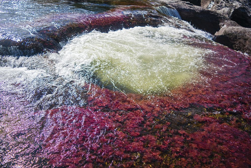 <strong>Каньо Кристалес - течната дъга на Колумбия</strong><br>
<br>
През първата половина от годината Каньо Кристалес в Колумбия прилича на най-обикновена река. Между юни и декември обаче тя придобива един прекрасен многоцветен оттенък. Различни видове водорасли променят цветовете си и стават червени, тъмни, сини, жълти, оранжеви и зелени. Местните жители я наричат Реката на петте цвята.