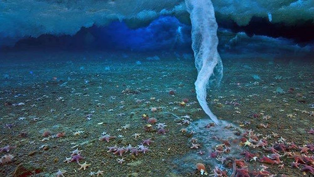 <strong>Леденият „пръст на смъртта“</strong><br>
<br>
В студените води на Антарктида може да се наблюдава невероятен феномен – ледена подводна висулка. Тя се формира, когато пренаситената със сол вода с лед попада в морската вода и се движи към дъното. В резултат се получава своеобразен леден сталактит, който се простира до самото дъно и замразява всичко, което се докосне до него