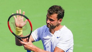 Григор Димитров Синсинати