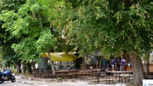 Видински панаир