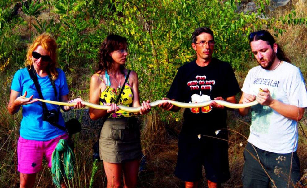  Рекорд: Край Бургас уловиха змия с дължина над 2 метра 