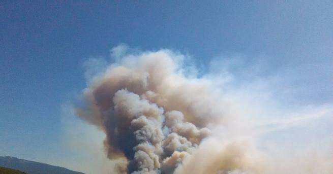 Пожар на широк фронт вилнее между симитлийското село Мечкул и