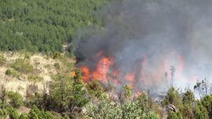 Голям пожар бушува в Кресненското дефиле