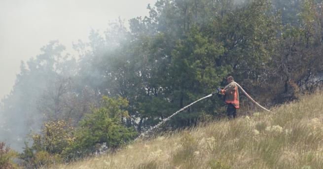 Първото огнище на пожара в Кресненското дефиле при село Мечкул