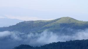 Планината Западни Гати в Индия
