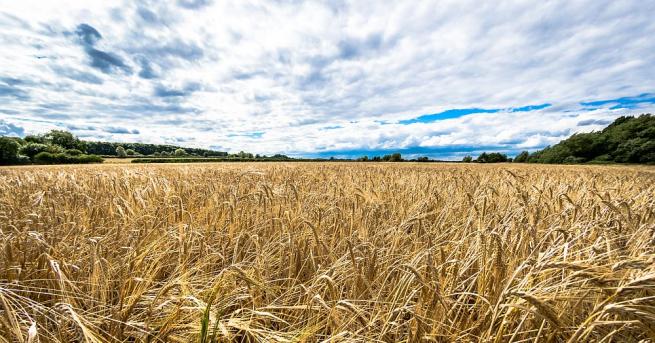 Прогноза за времето за 28 август понеделник   През нощта