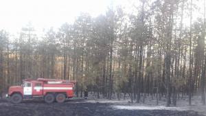 пожар гора преслав