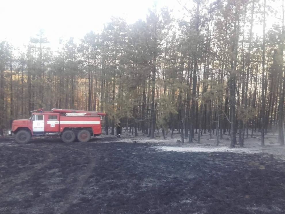 Огънят е тръгнал от запалена суха трева край село Ловец