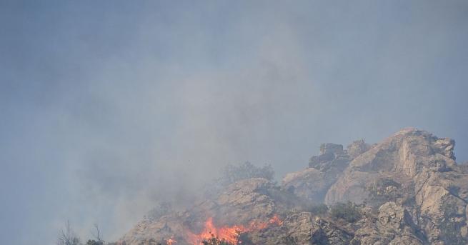 Пожарът край Кресна който предизвика истинска екологична катастрофа отново се