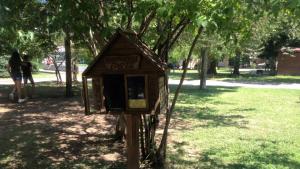 Лято в библиотеката