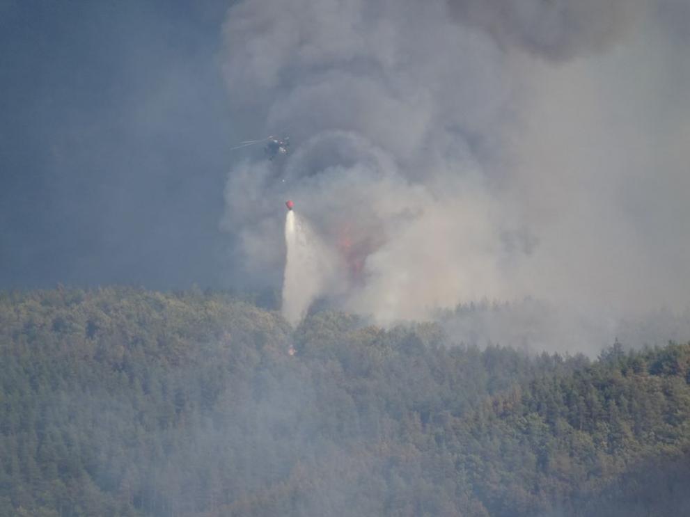  Влахи, пожар 