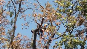 Антъни Крофт