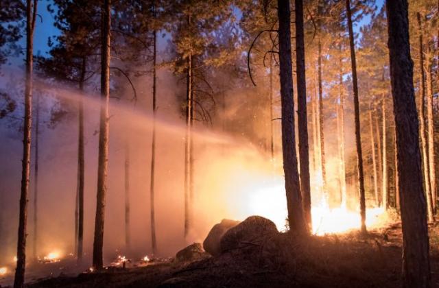 Над 1000 служители на ЮЗДП и специализирана техника
участваха в гасенето на големия пожар в Пирин