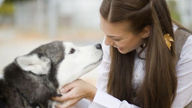 Домашните животни, които действат като лекарство на стопаните си (СНИМКИ)