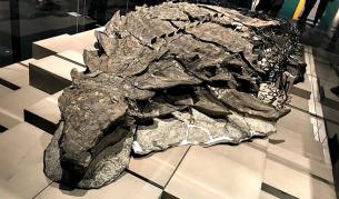 Как динозавър на 112 млн. г. се е превърнал в 3D статуя