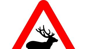 Табели предупреждаващи за места с концентрация на ПТП с диви