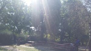 Мездра кабинет