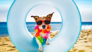 септември време