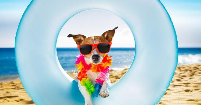 Най високите температури у нас през септември ще бъдат между