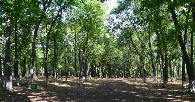 27 годишен е задържан в полицията в Кърджали след като