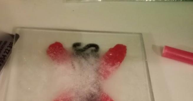 Бургаски полицаи разбиха нелегални депа за търговия с разнообразни наркотици