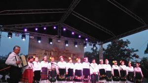 панаир Видин